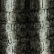 IMITATIEBONT BRUIN (thumbnail) #2