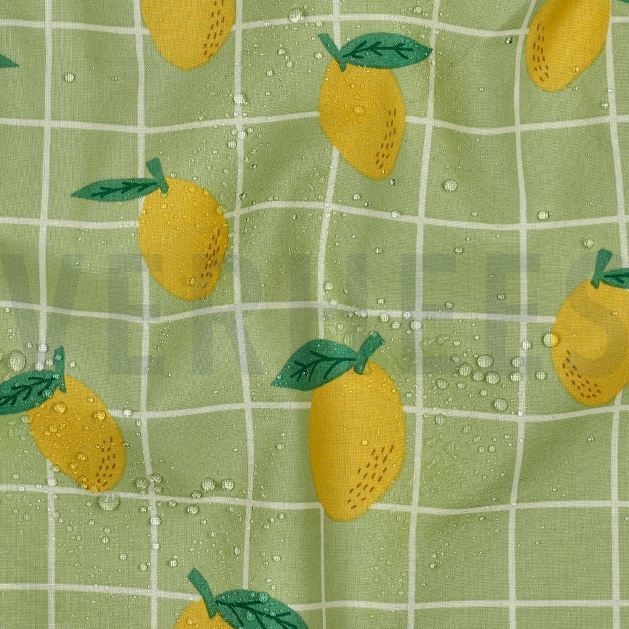 COTON ENDUIT FRUIT VERT (high resolution) #2