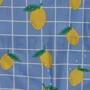 COTON ENDUIT FRUIT BLEU (thumbnail) #2