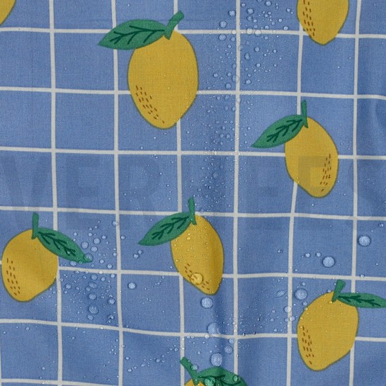 COTON ENDUIT FRUIT BLEU #7