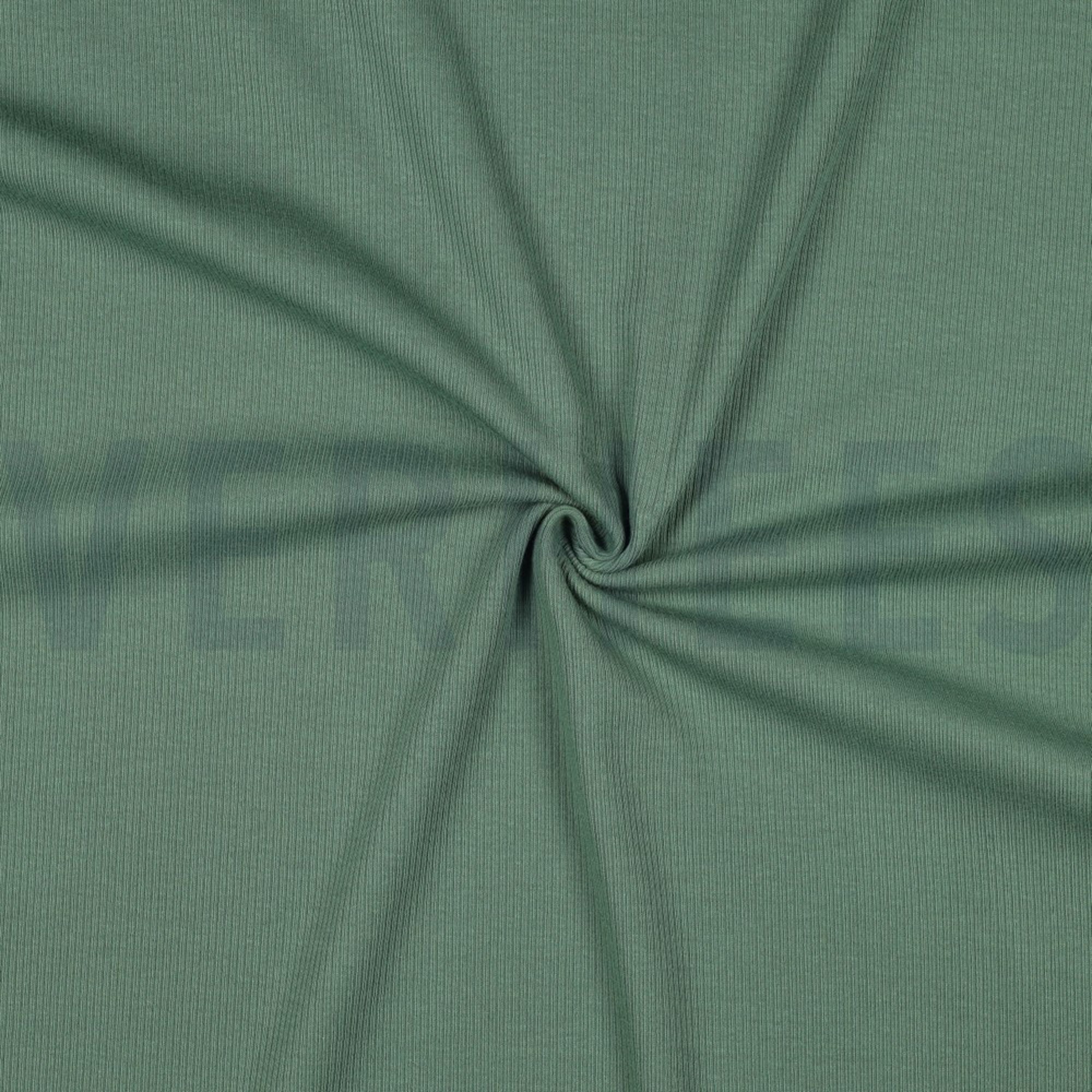 RIB JERSEY GROEN (high resolution) #3