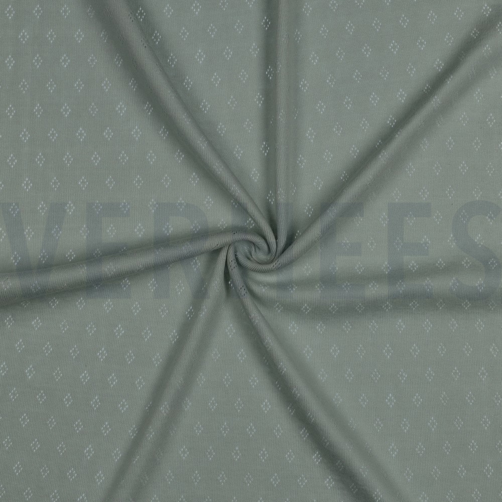 POINTOILLE MINT #7