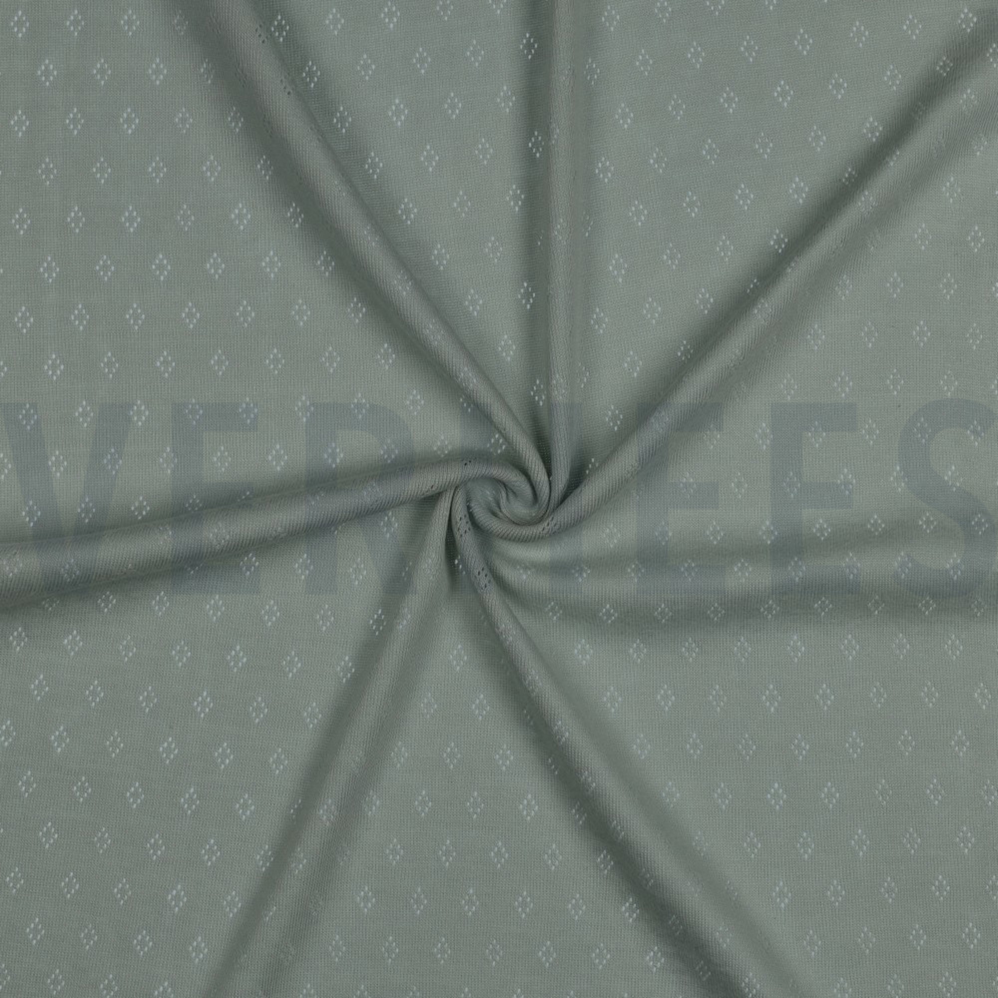 POINTOILLE MINT (high resolution) #3