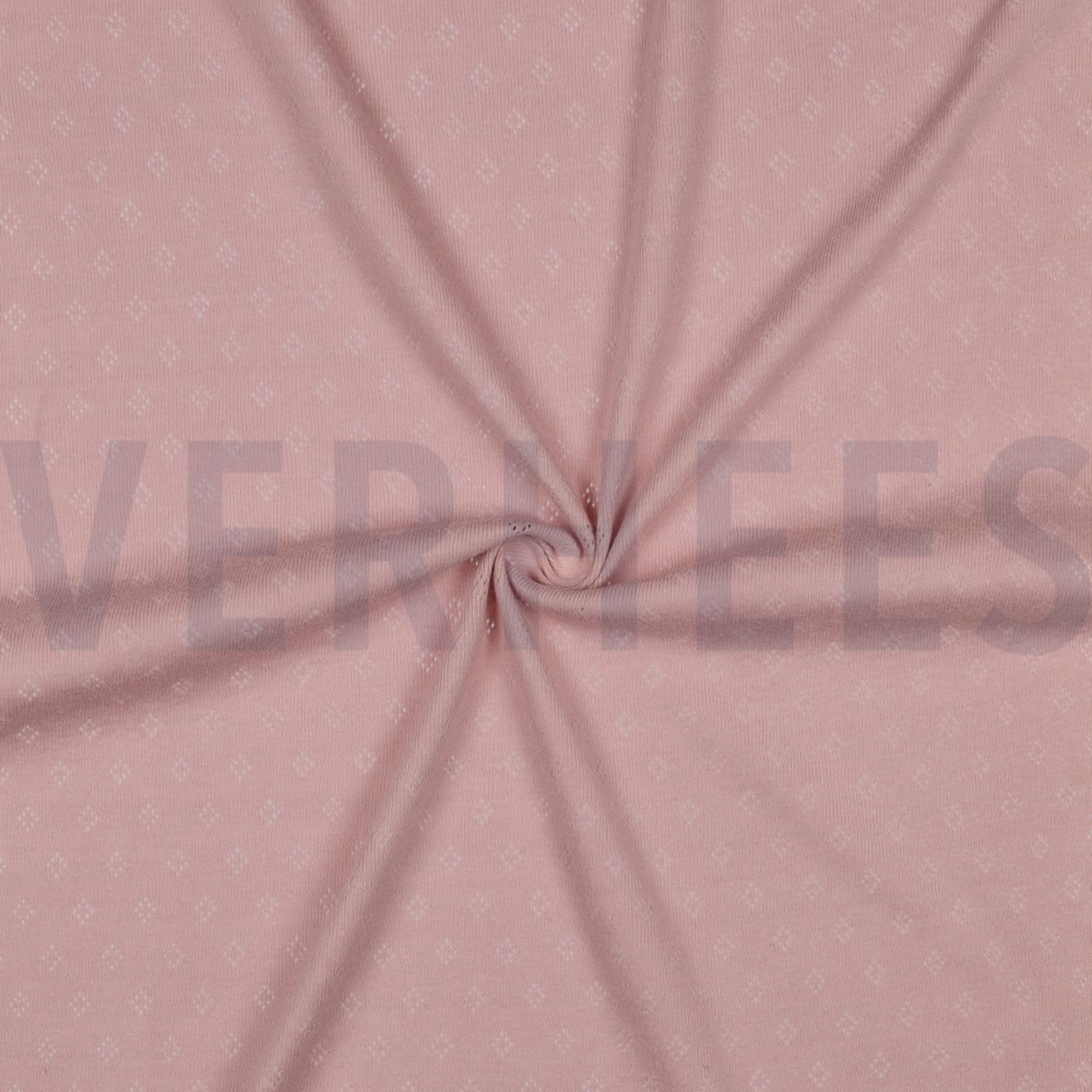 POINTOILLE OLD ROSE (high resolution) #3