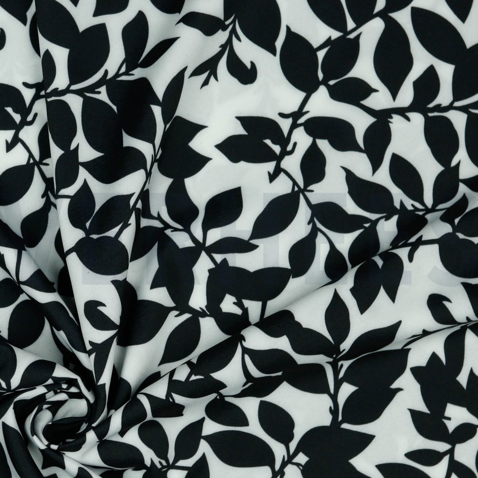 MAGNOLIA STRETCH WHITE (high resolution) #3