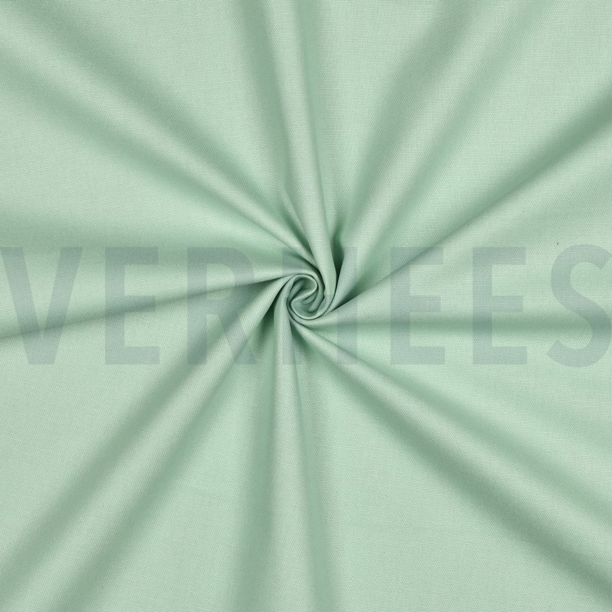 CANVAS MINT (high resolution) #3