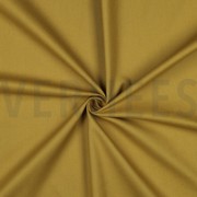 CANVAS CURRY (thumbnail) #3