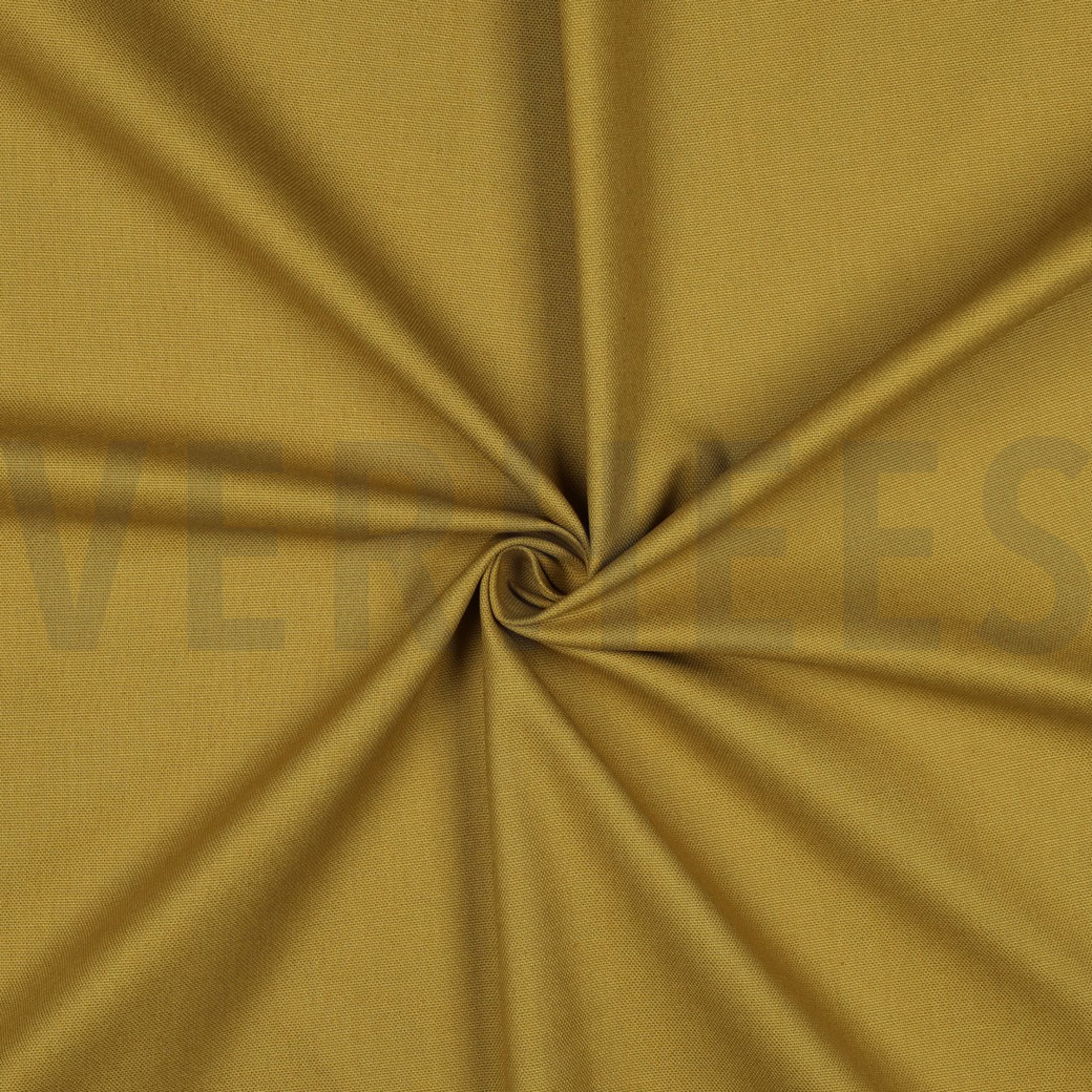 CANVAS CURRY (high resolution) #3