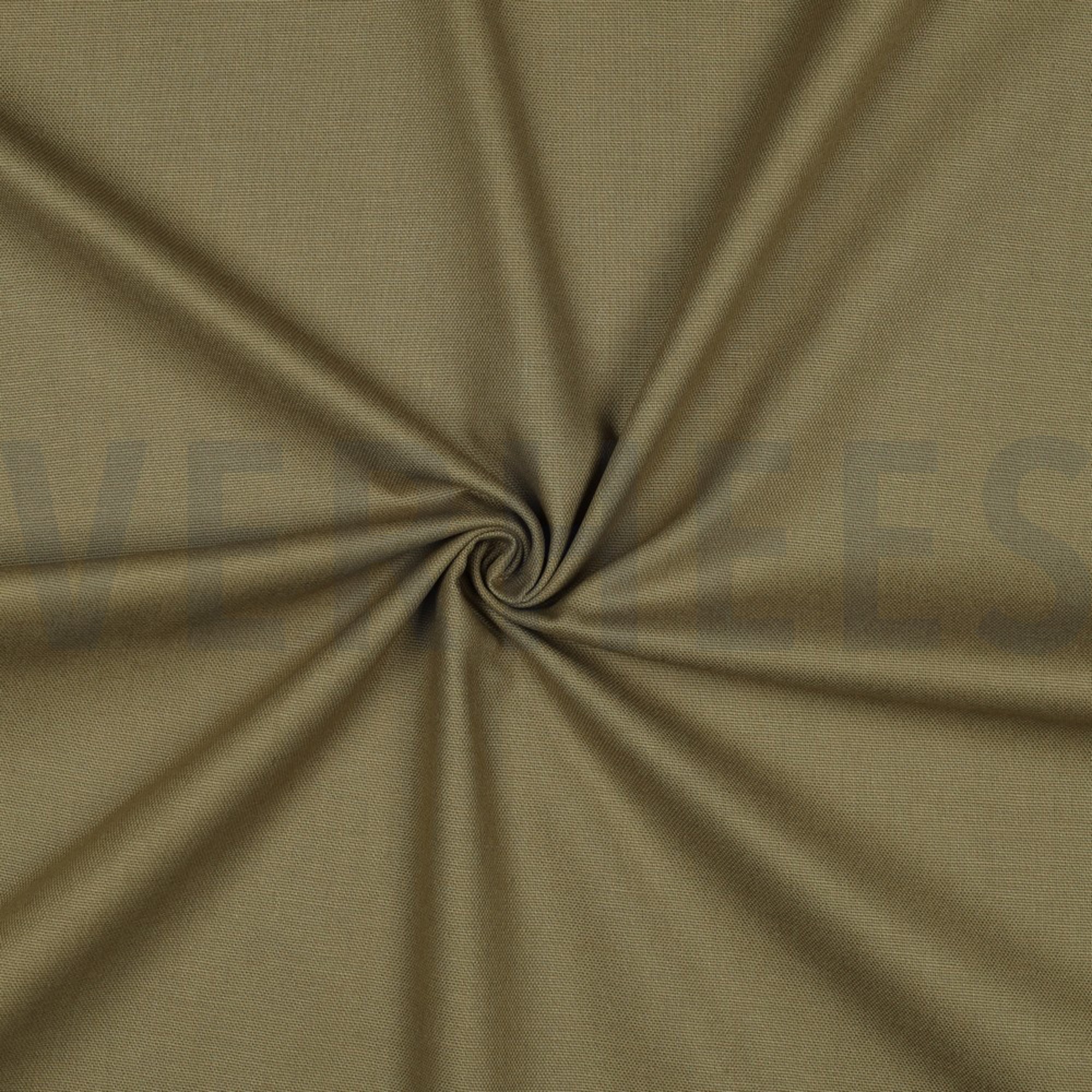 CANVAS OLIVE (high resolution) #3