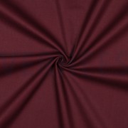 CANVAS AUBERGINE (thumbnail) #3