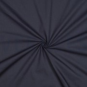 CANVAS STAUBIGES BLAU (thumbnail) #3