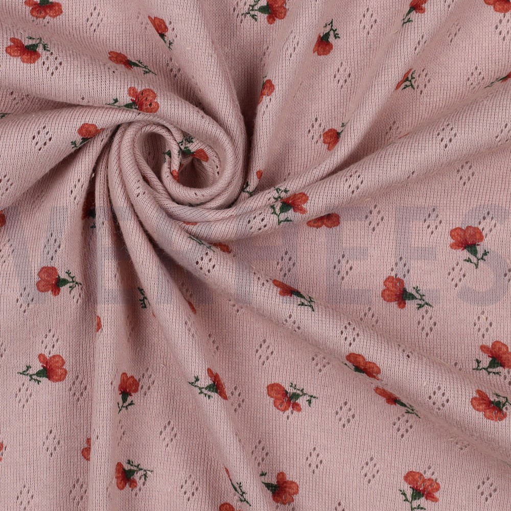 POINTOILLE BLUMEN ALTROSA #7