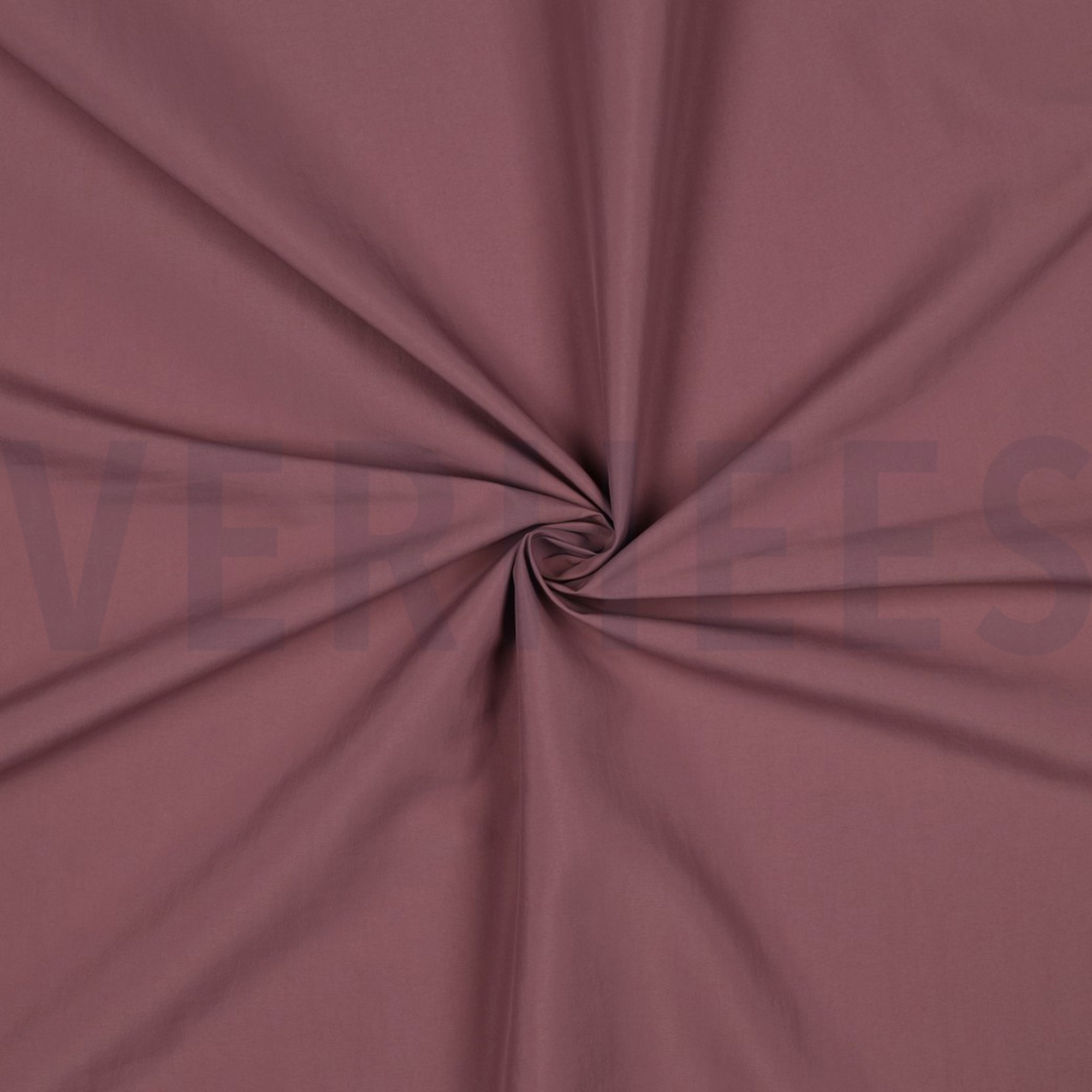 TASLAN WATERAFSTOTEND ROZENHOUT (high resolution) #3