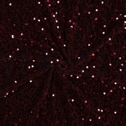 PAILLETTEN FLUWEEL BORDEAUXROOD (thumbnail) #3