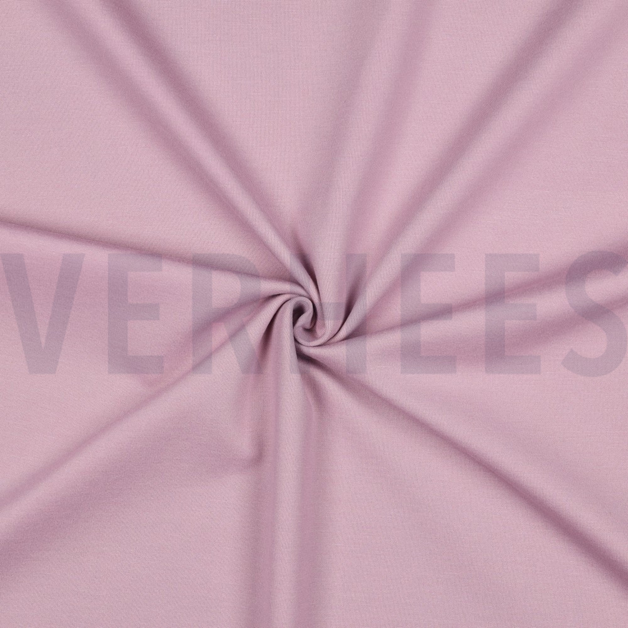 PUNTA DI ROMA LILA (high resolution) #3