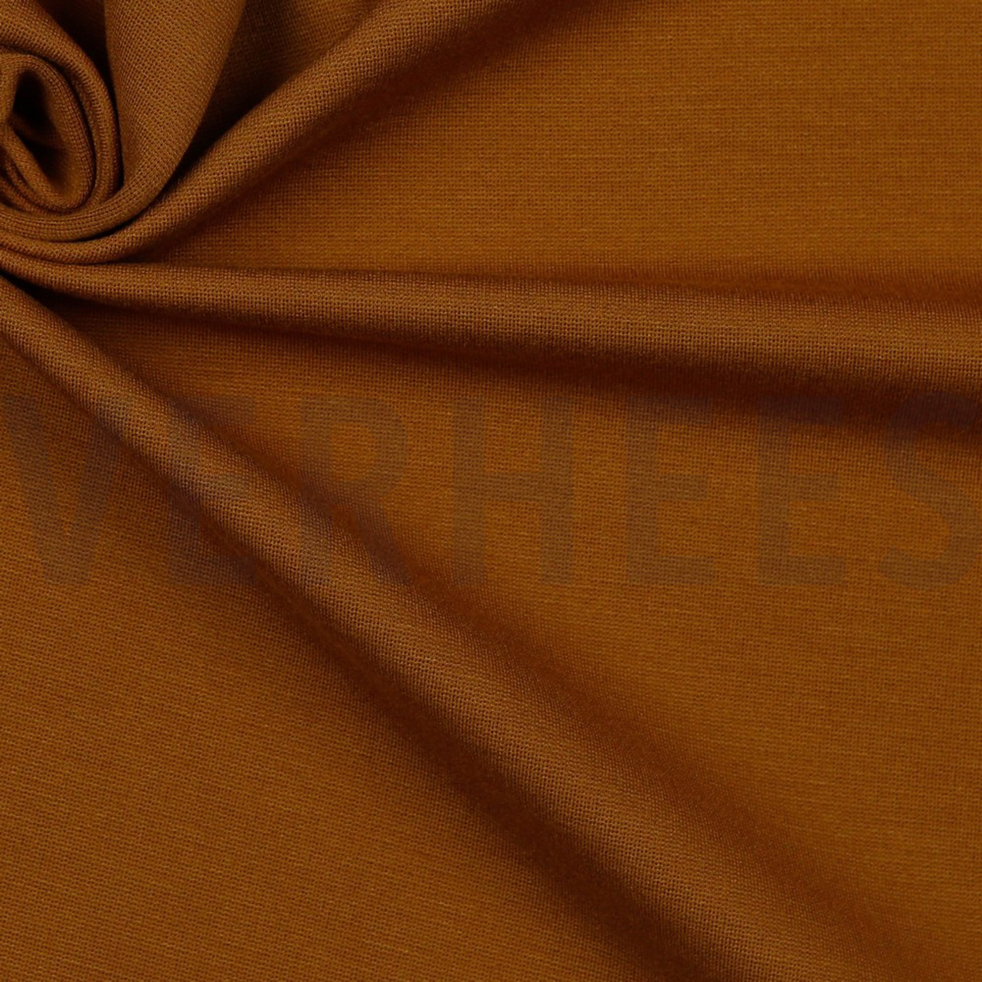 PUNTA DI ROMA HASELNUSS (high resolution) #3