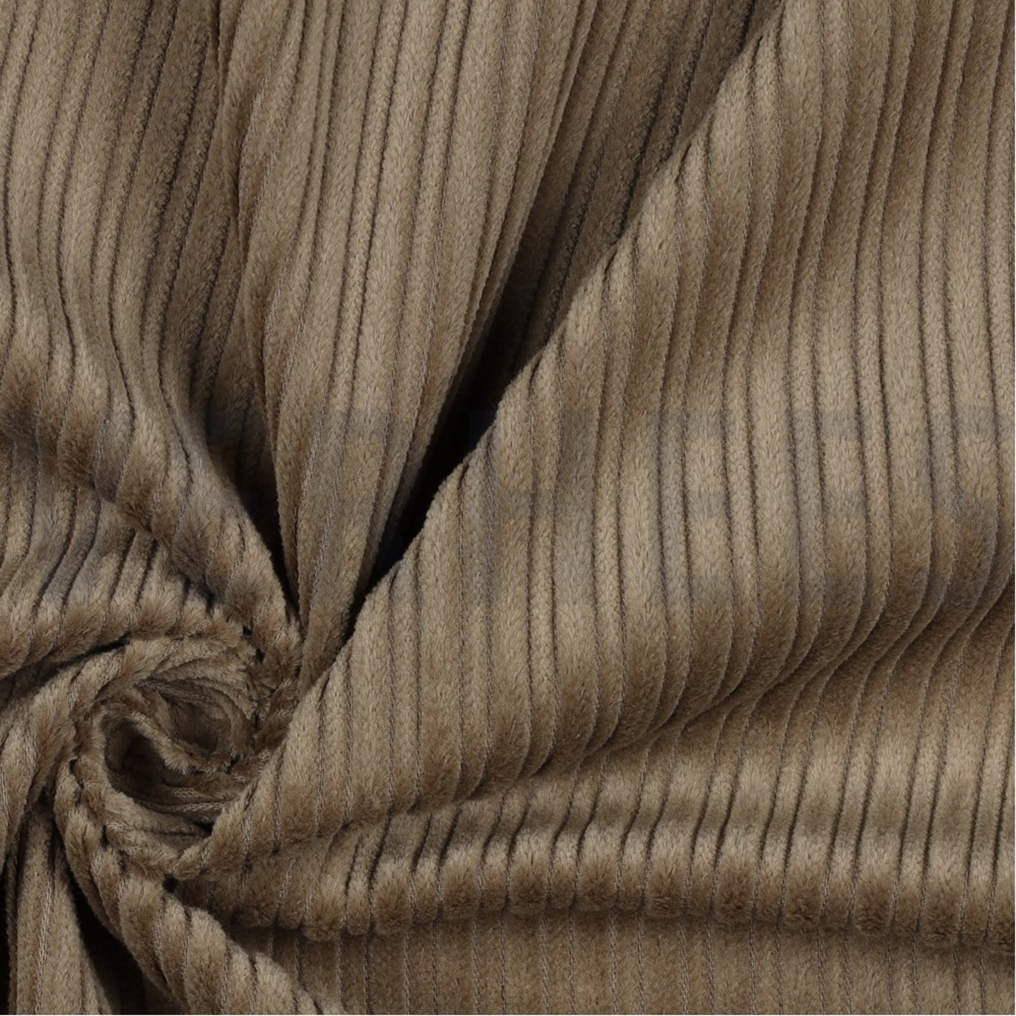 CORDUROY BEIGE (high resolution) #3