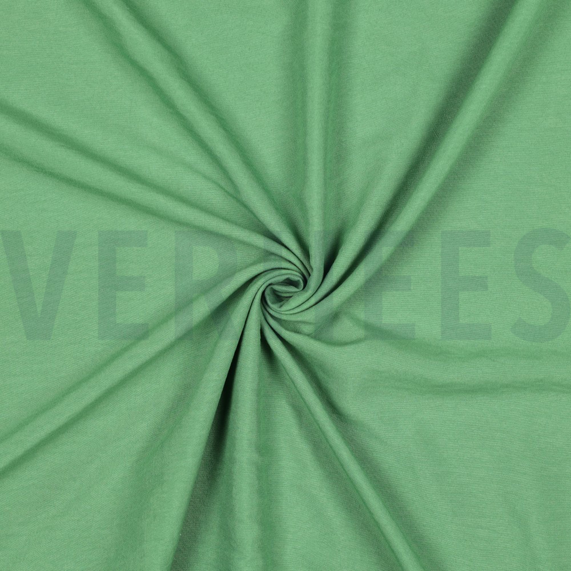 PAPILLON GROEN (high resolution) #3