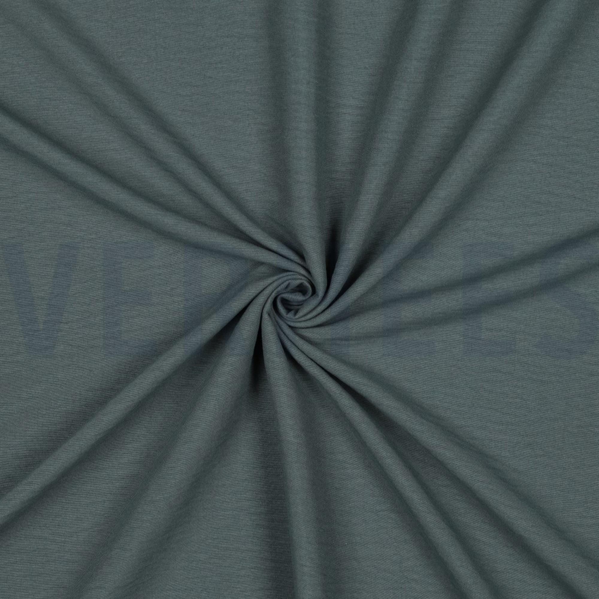 PAPILLON ALTGRÜN (high resolution) #3