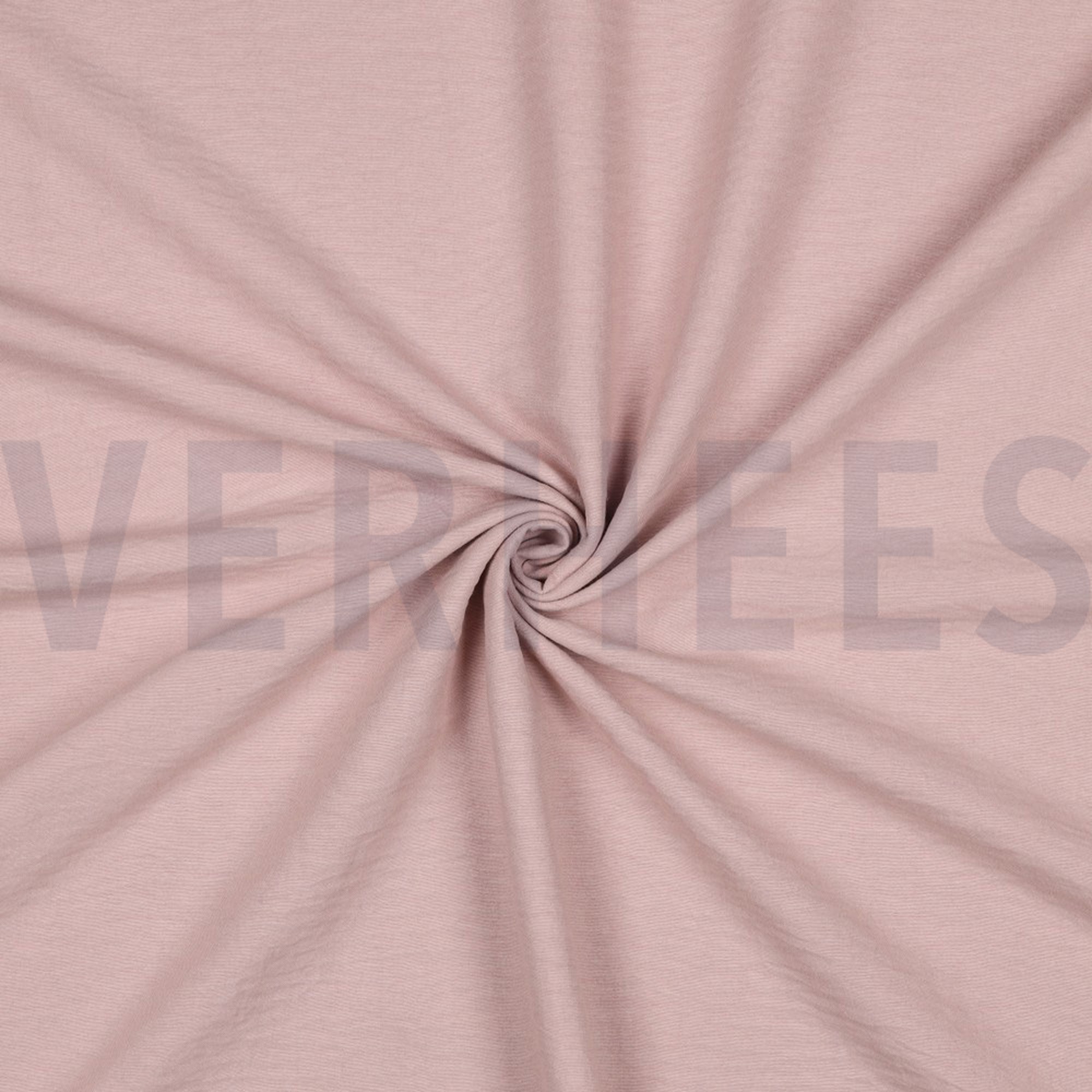 PAPILLON ALTROSA (high resolution) #3