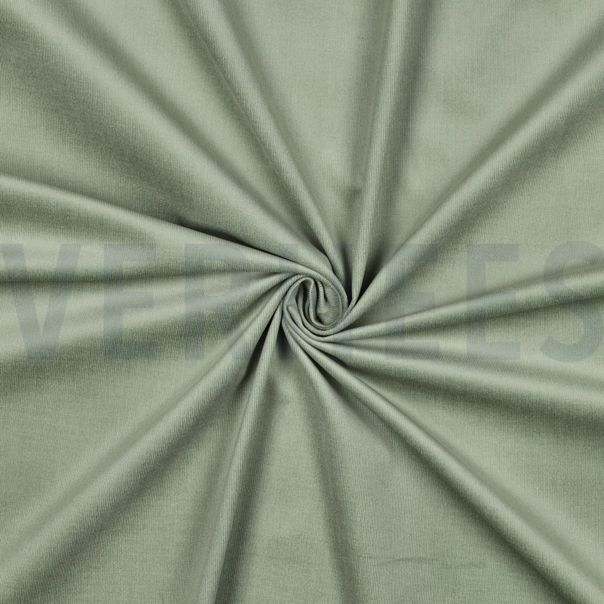 CORDUROY BABYRIB STRETCH 28W BASILICUM (high resolution) #3