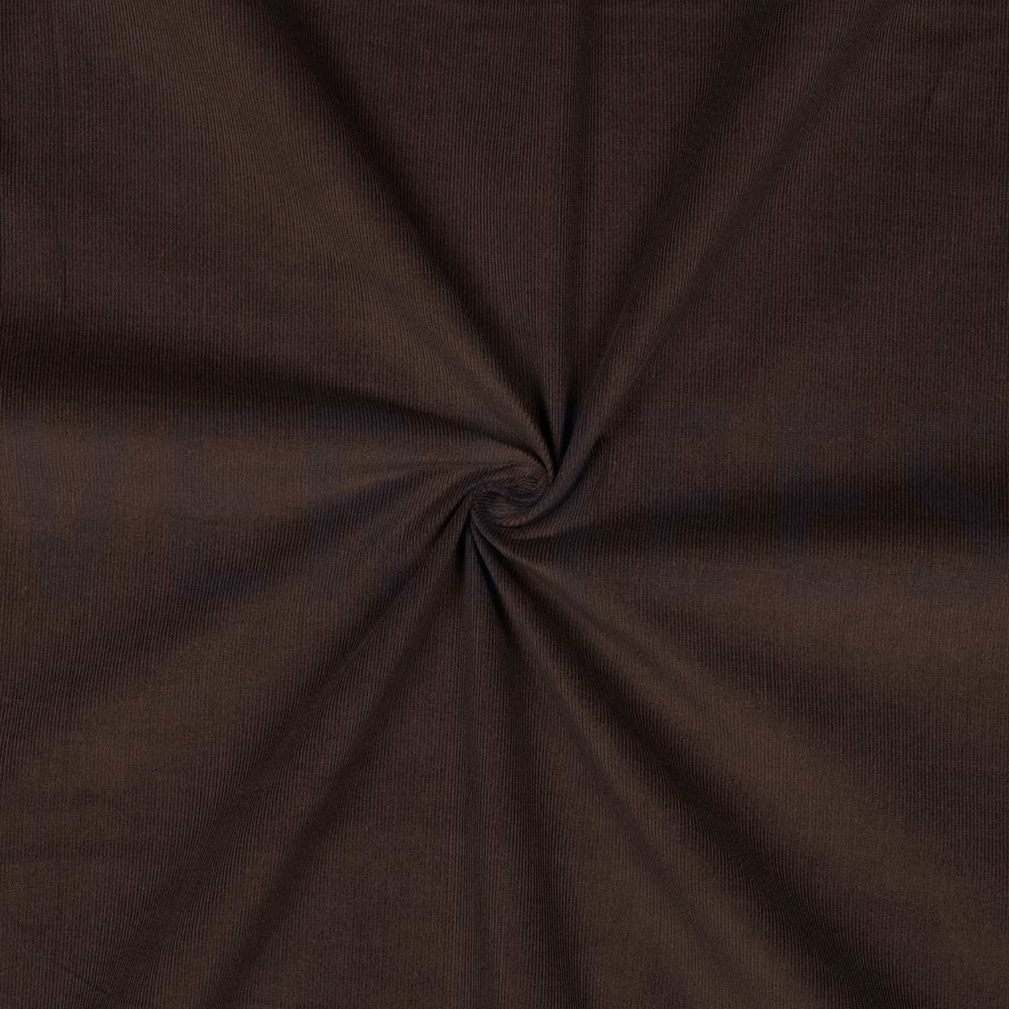 CORDUROY BABYRIB 21W DONKERBRUIN (high resolution) #3