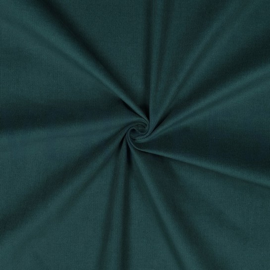 CORDUROY BABYRIB 21W DENNEGROEN #7