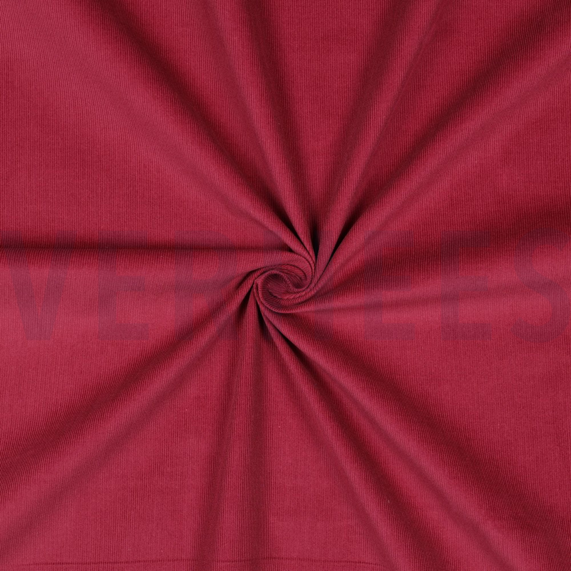 CORDUROY BABYRIB 21W BORDEAUX (high resolution) #3