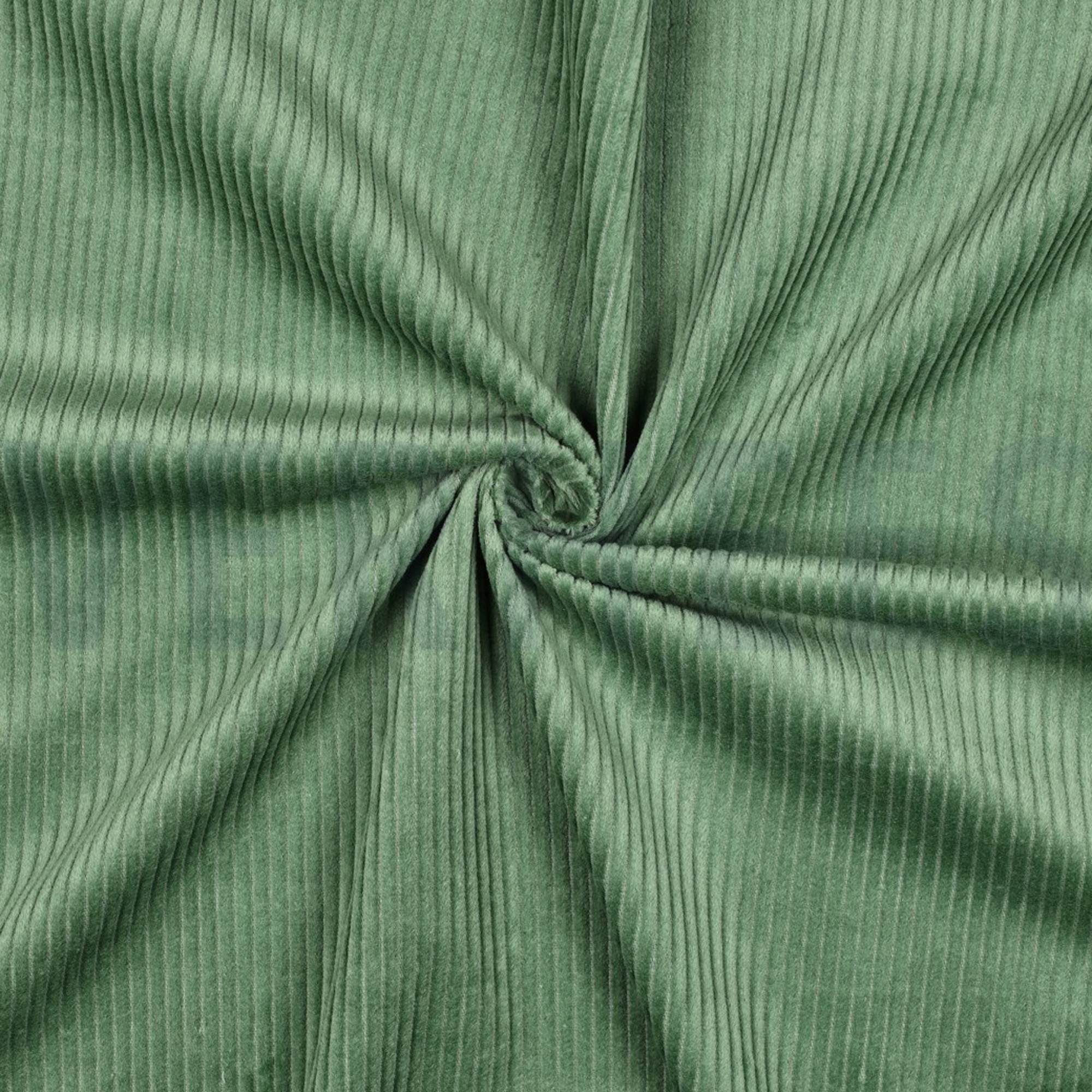 WASHED CORDUROY 4.5W BASIL (high resolution) #3