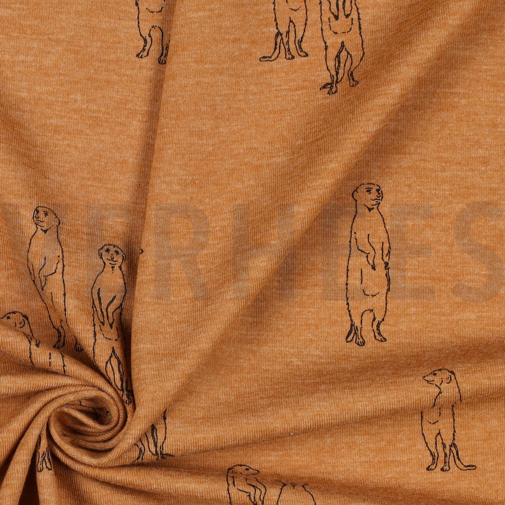 JERSEY MÉLANGE SURICATES CAMEL MÉLANGÉ #7