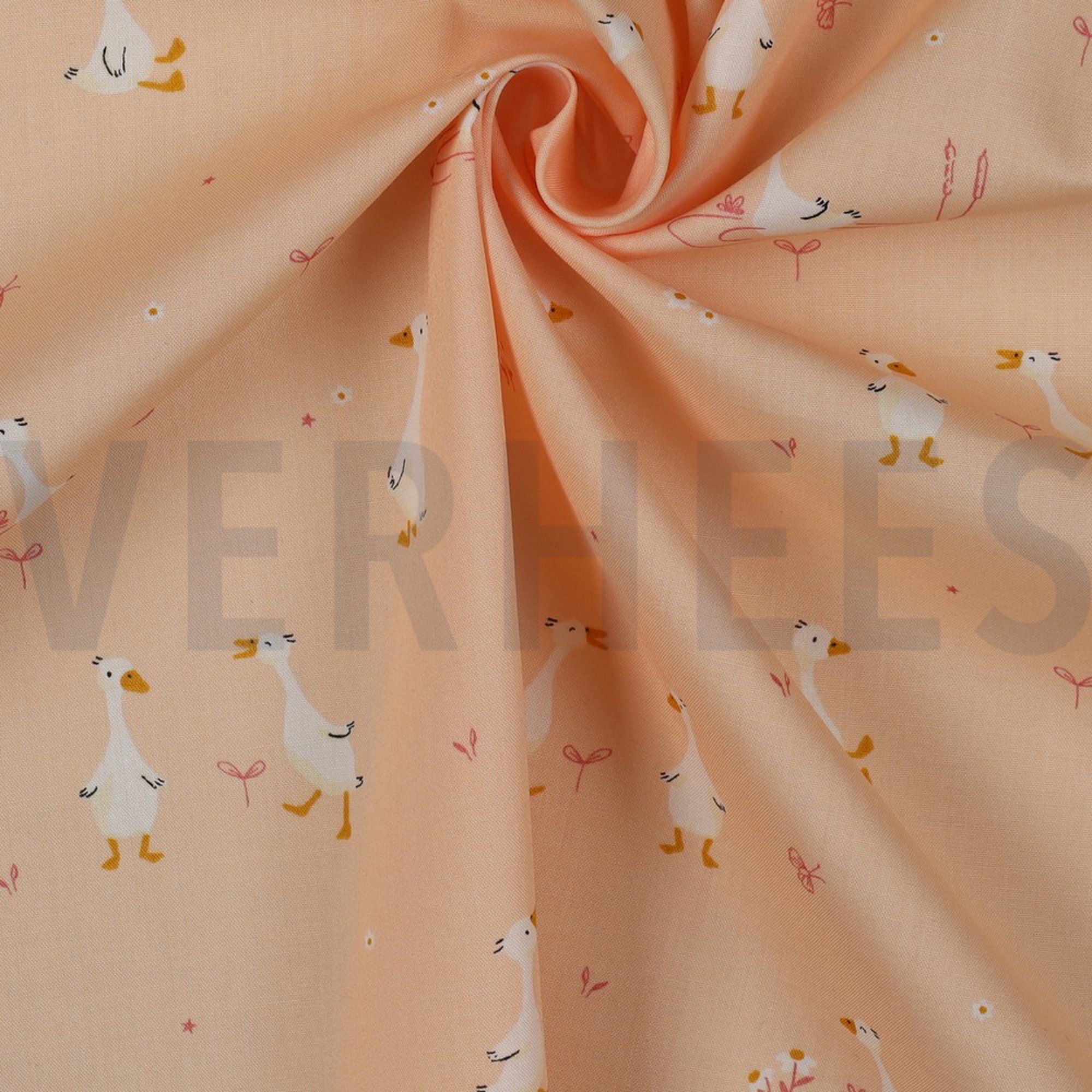 FINE POPLIN GOOSE POWDER (high resolution) #3