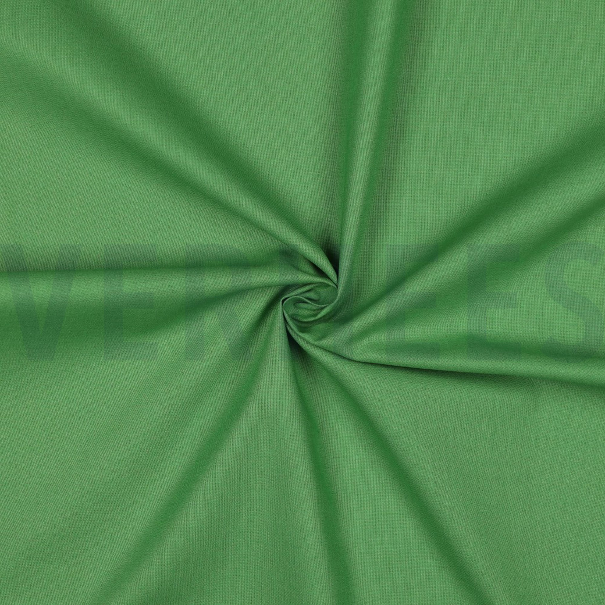 COTTON POPLIN LIGHT GREEN (high resolution) #3