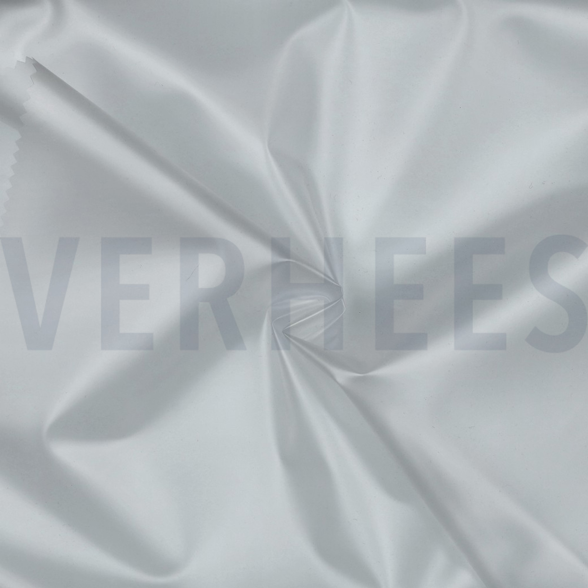 REGENJAS TRANSPARANT (high resolution) #3