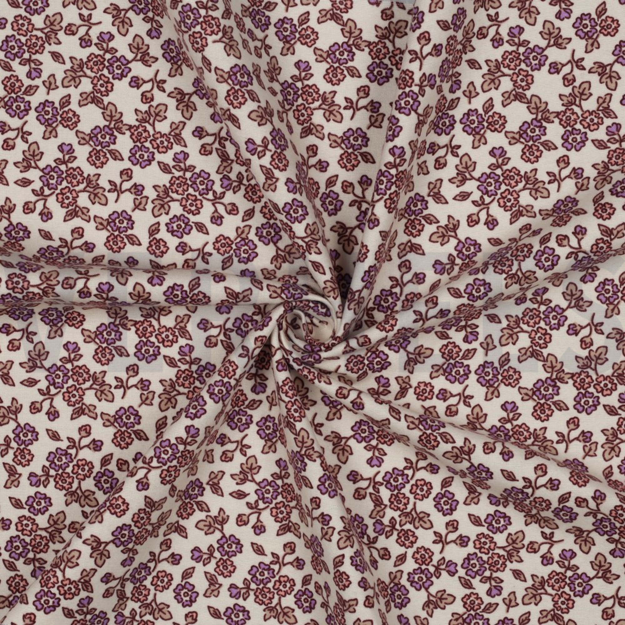 FLANNEL FLOWERS ECRU (high resolution) #3