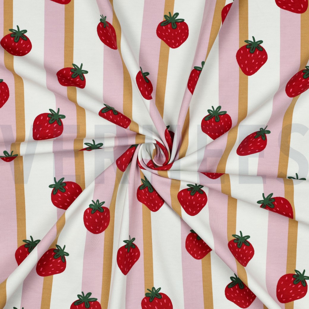 JERSEY FRUIT WIT #7