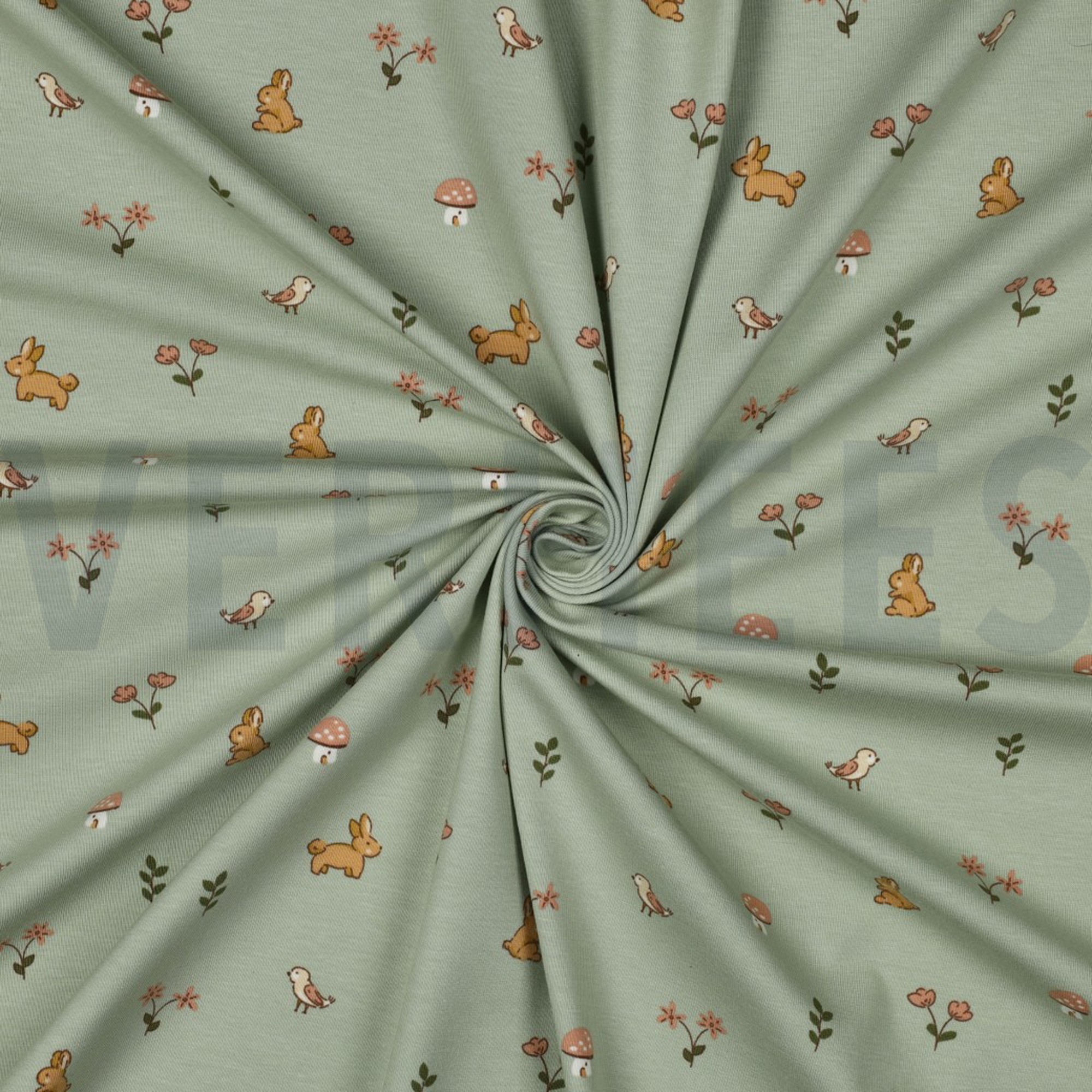 JERSEY GOTS KANINCHEN SALBEI (high resolution) #3