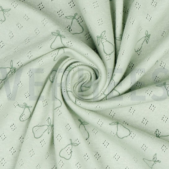 POINTOILLE PEER NILEGROEN #7