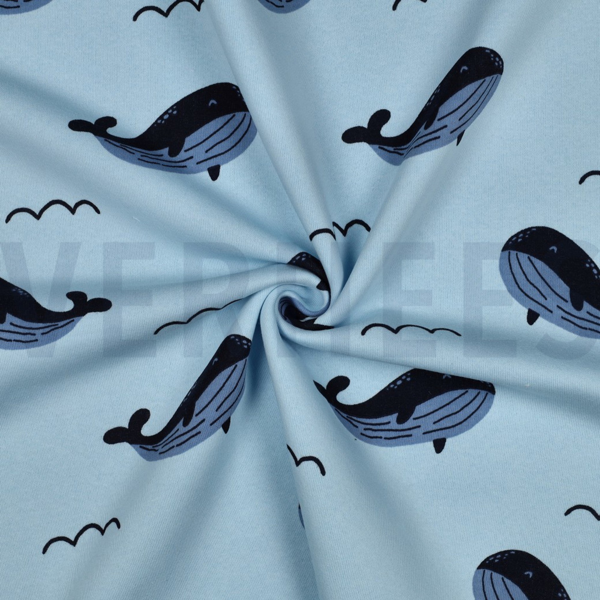 JOGGING WALVISSEN BLAUW (high resolution) #3