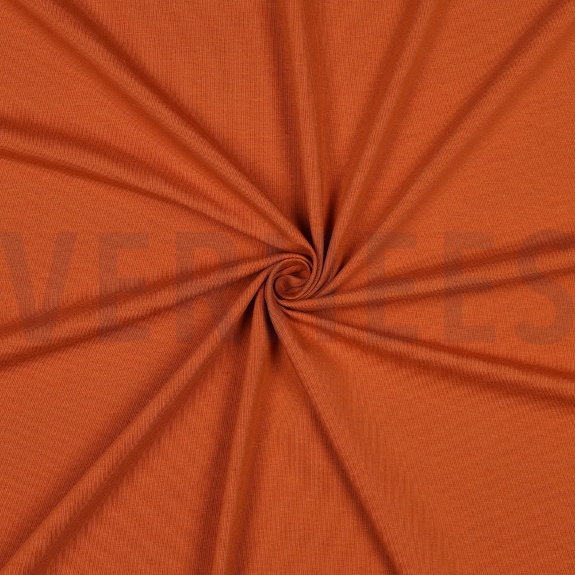 JERSEY GOTS BERNSTEIN (high resolution) #3