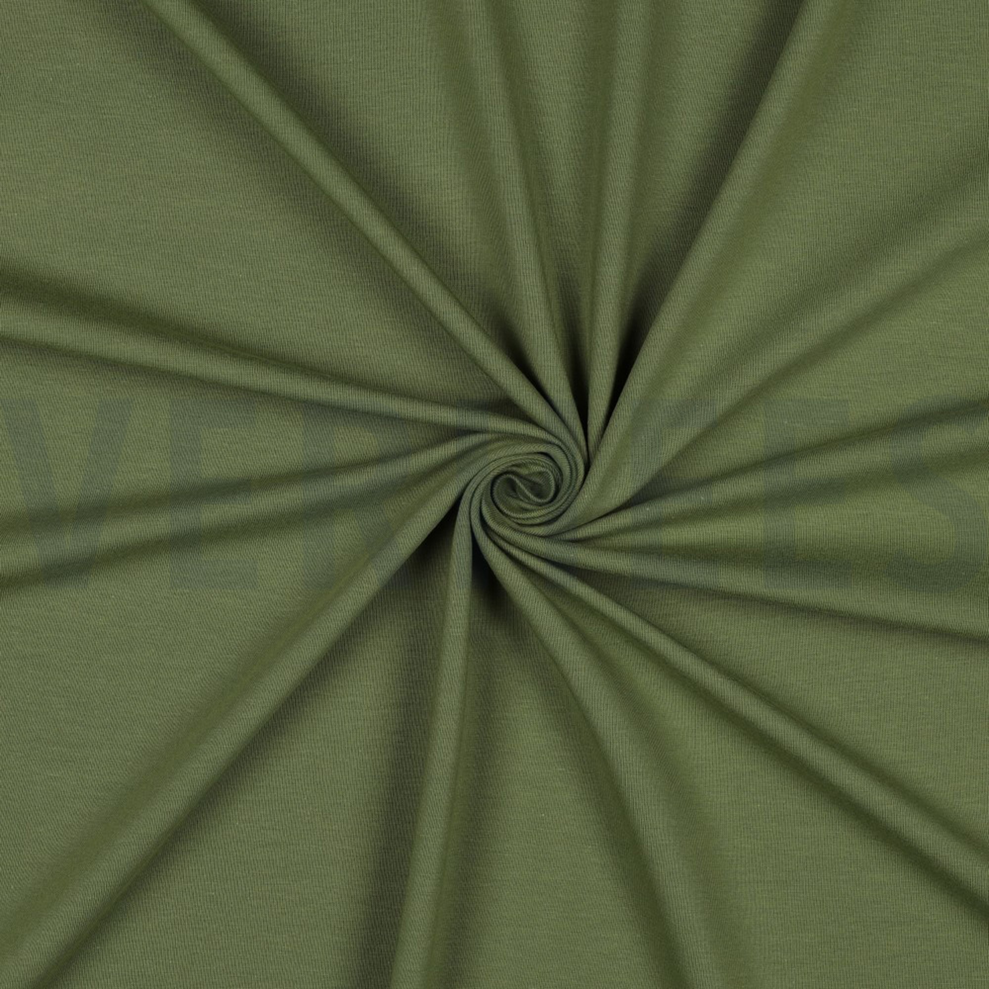 JERSEY GOTS PICKLE (high resolution) #3