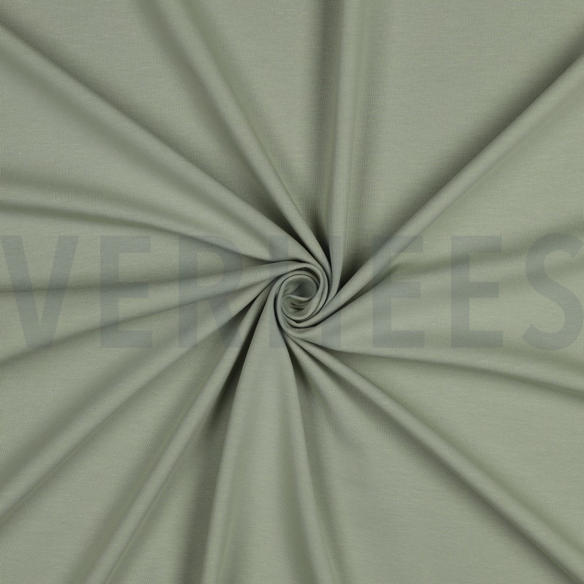 JERSEY GOTS SALIEGROEN (high resolution) #3