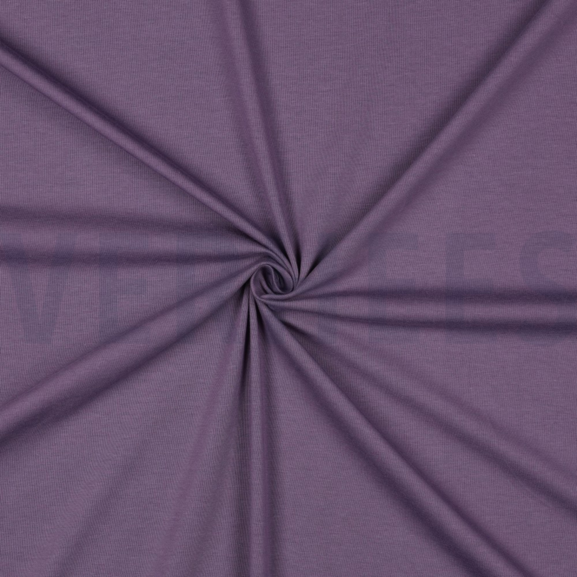 JERSEY GOTS DRUIFPAARS (high resolution) #3