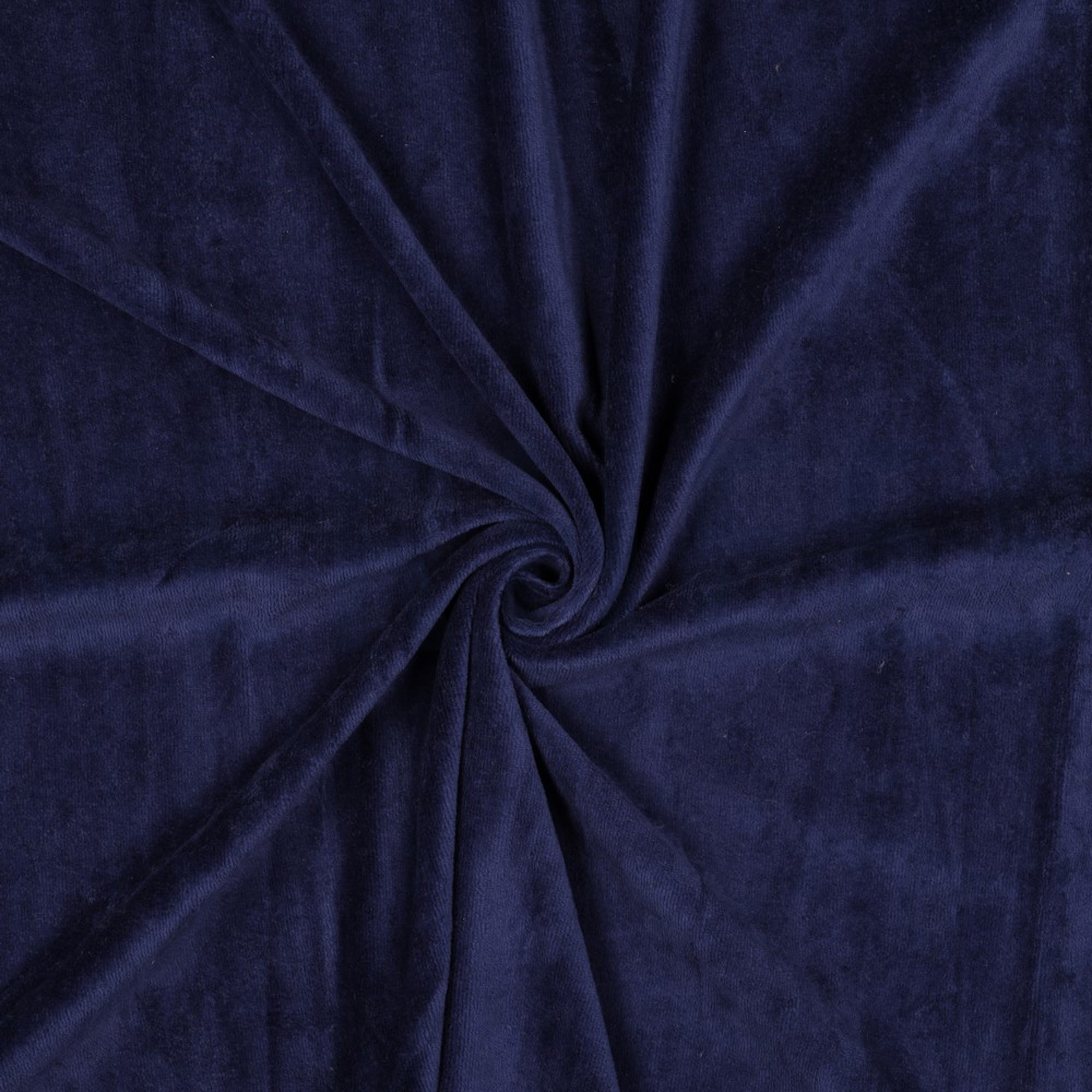 NICKY VELOURS MARINE (high resolution) #3