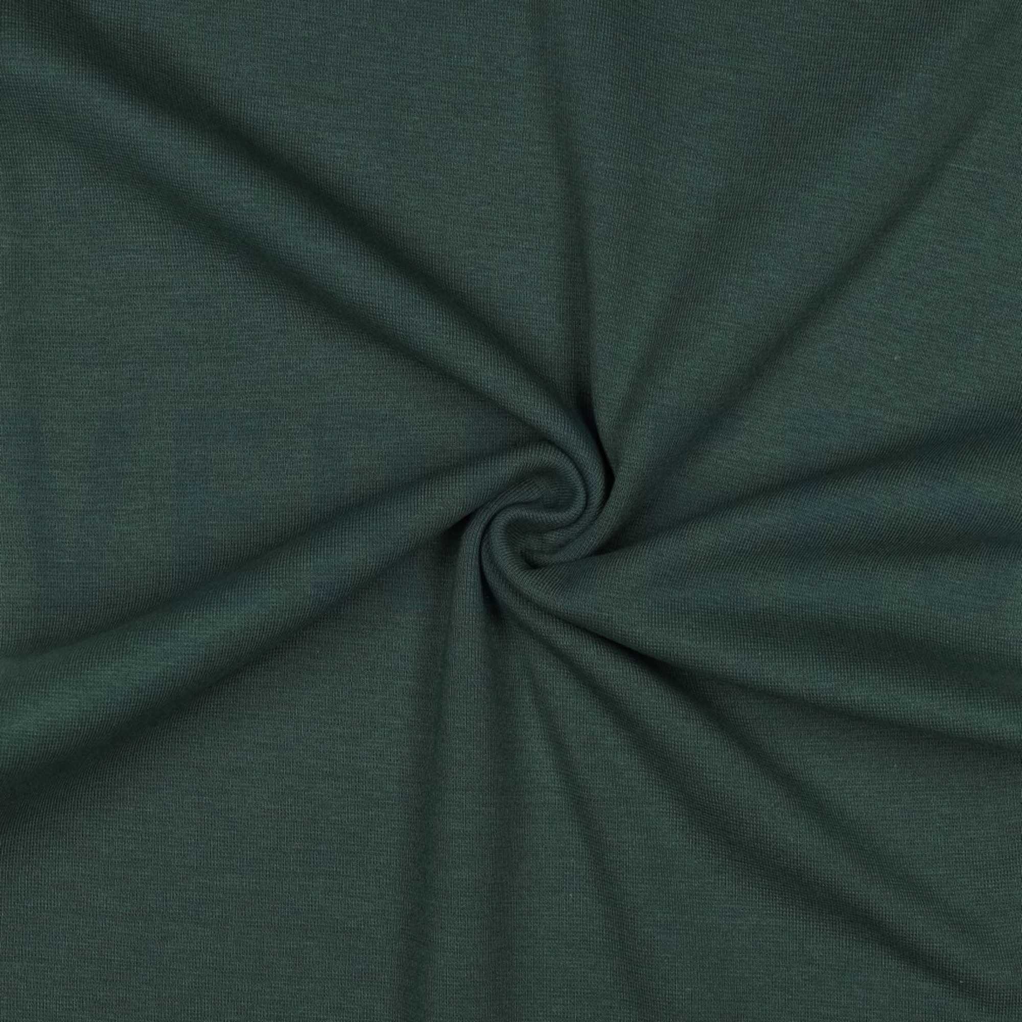 BÜNDCHEN GOTS SALBEI (high resolution) #3