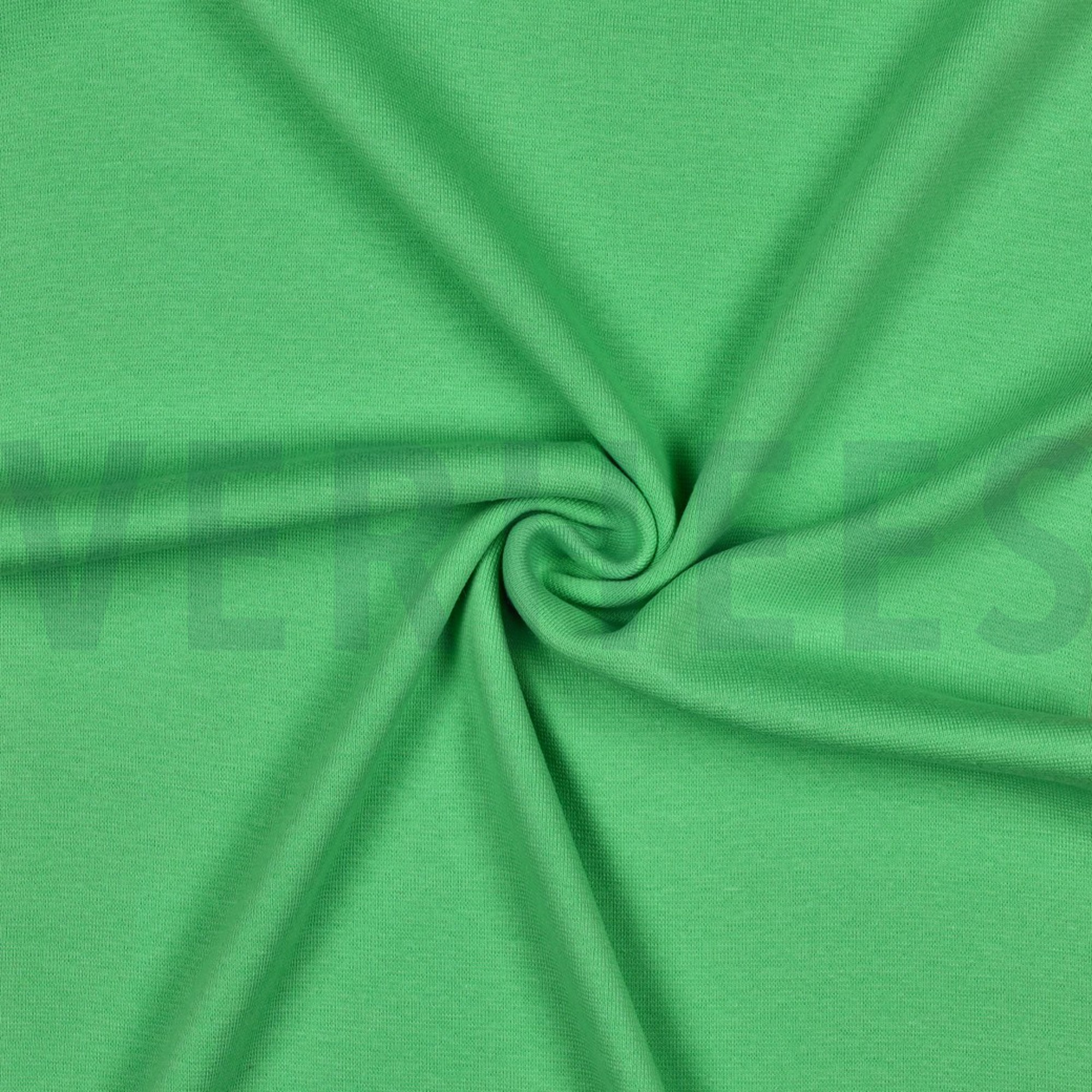 BORD-CÔTE GOTS CITRON VERT CLAIR (high resolution) #3