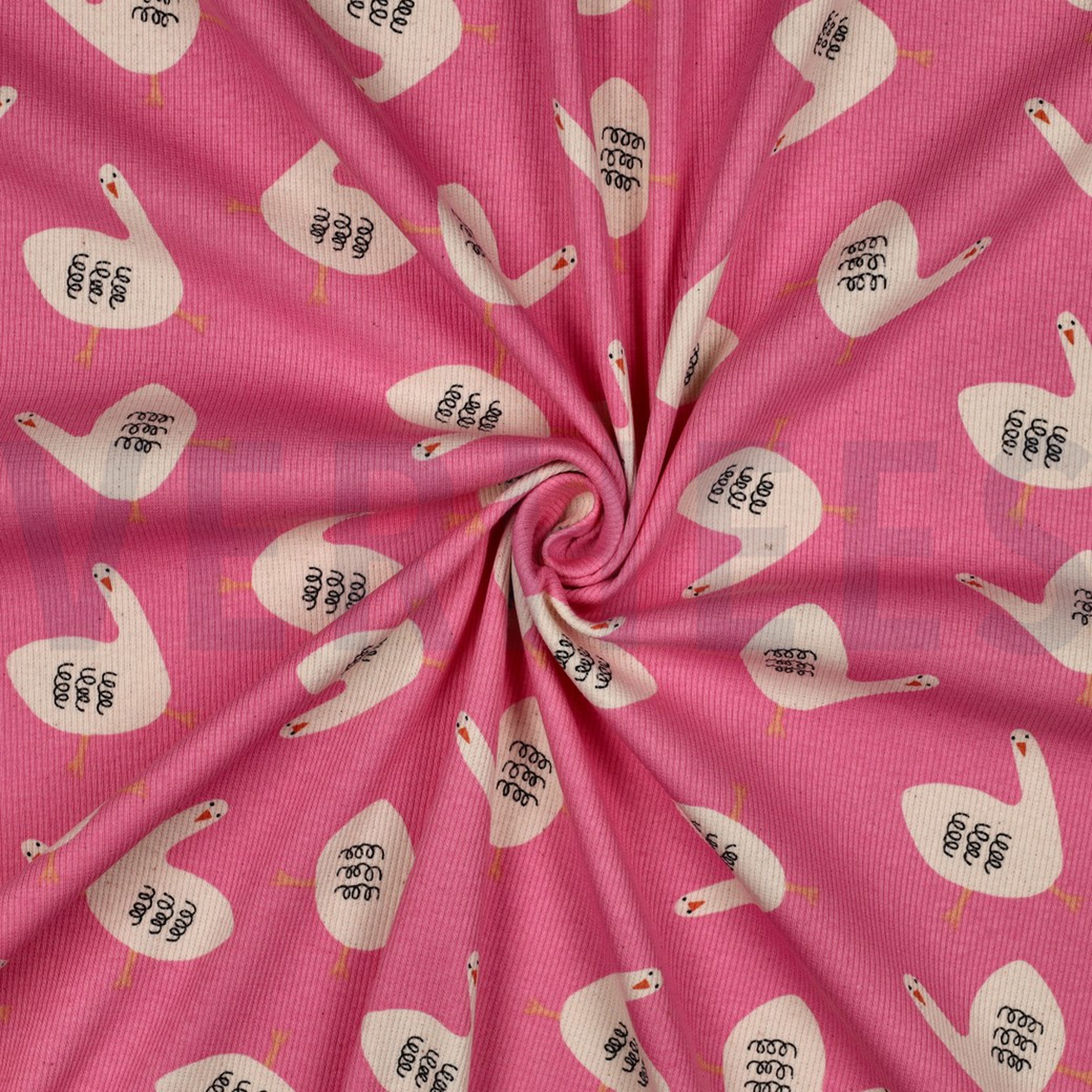 RIPPJERSEY GOTS GÄNSE JENNIFER BOURON FUCHSIA (high resolution) #3