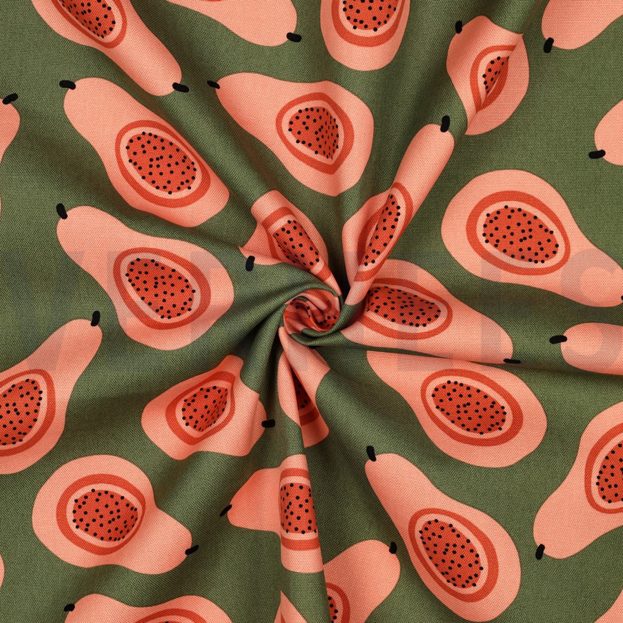 TOILE DÉCORATION FRUIT VERT (high resolution) #3