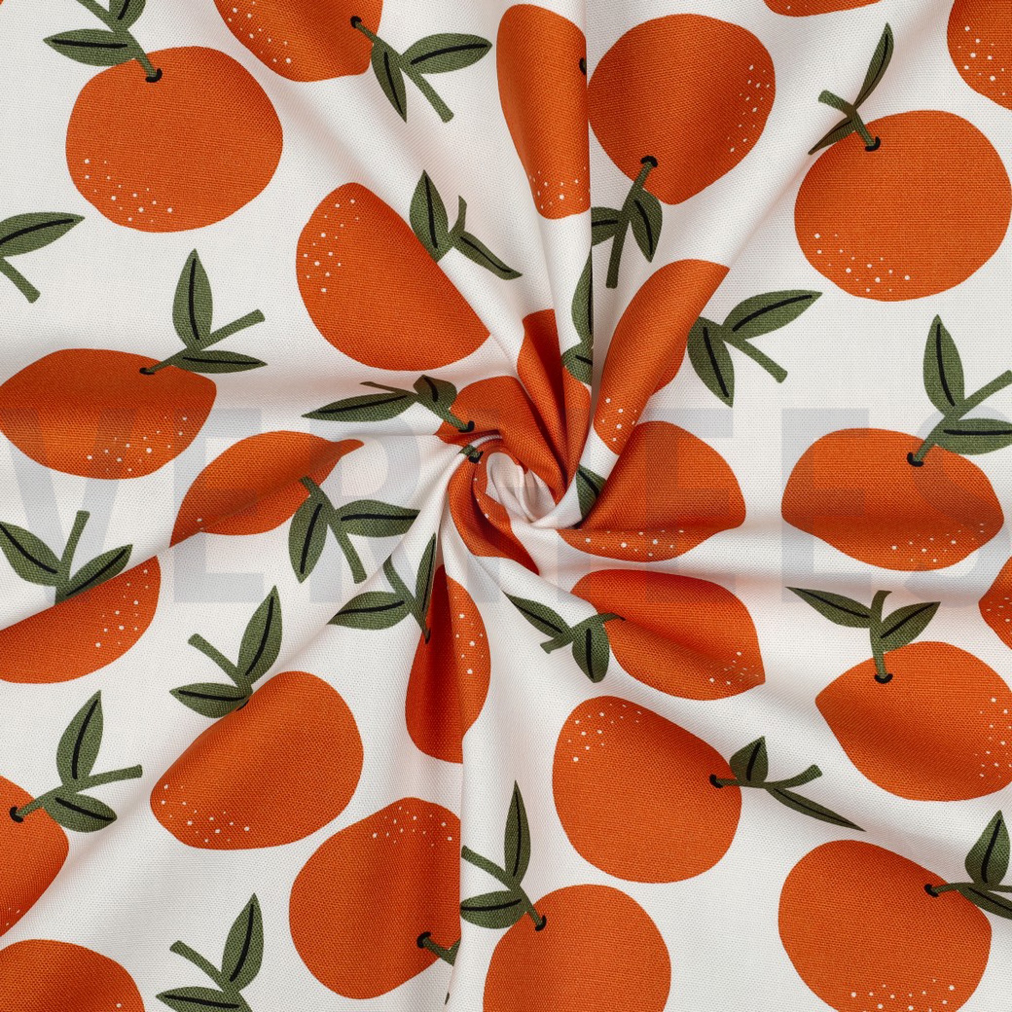 TOILE DÉCORATION FRUIT BLANC (high resolution) #3