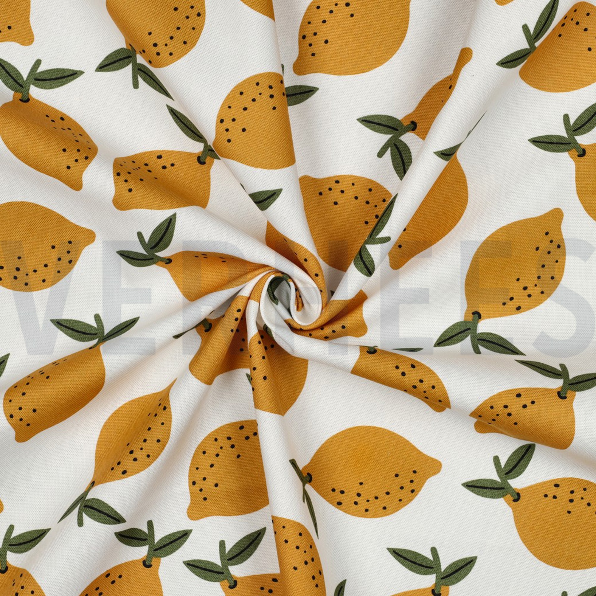 TOILE DÉCORATION FRUIT BLANC (high resolution) #3