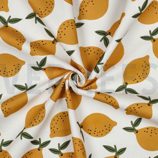 TOILE DÉCORATION FRUIT BLANC #7